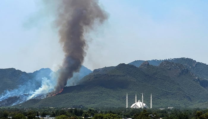  راولپنڈی ، جنگلات میں آگ لگنے کے واقعات کنٹرول نہ  ہو سکے
